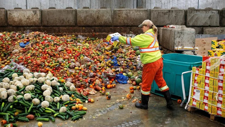 Worker sorting through large piles of discarded fruits and vegetables at a food waste facility